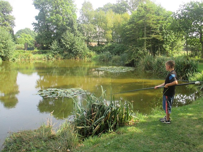 PNA_butot-venesville_grand-mare©jourdain-2017 (2)