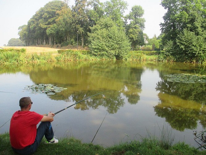 PNA_butot-venesville_grand-mare©jourdain-2017 (3)