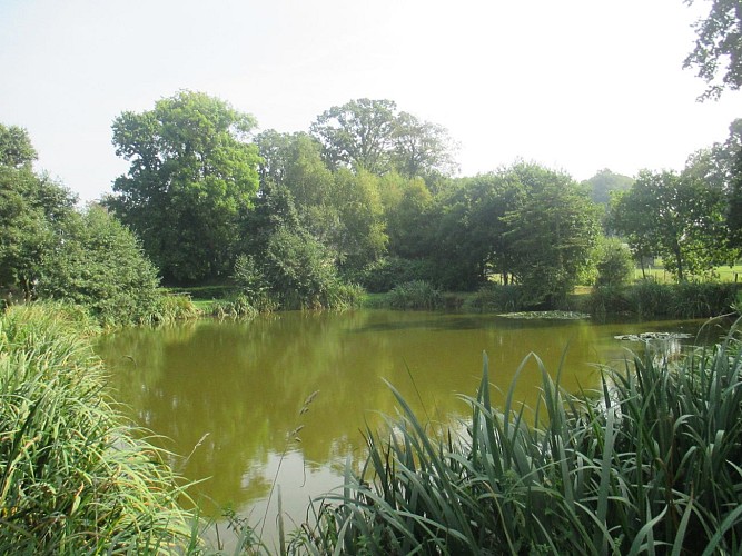 PNA_butot-venesville_grand-mare©jourdain-2017 (1)