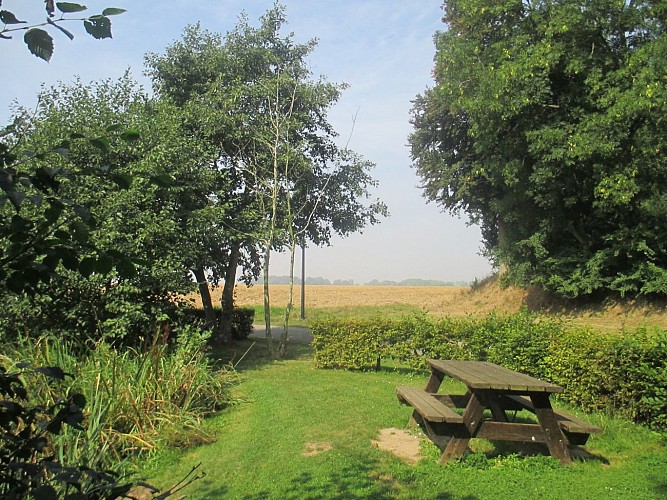 PNA_butot-venesville_grand-mare©jourdain-2017 (9)