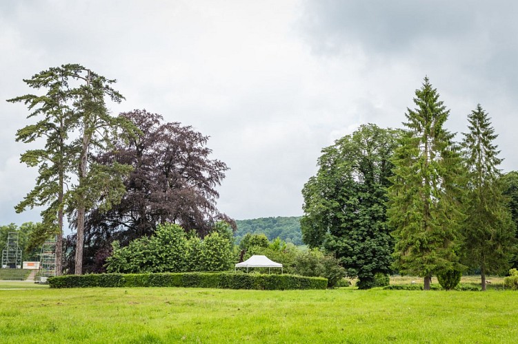 essences-abbaye-du-valasse-aurelien-leloup