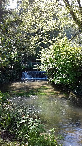 parc clos st martin cany barville 2018-jourdain (3)