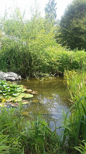 parc du clos st martin cany barville juillet 2018 (3)