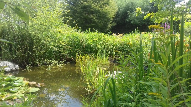 parc du clos st martin cany barville juillet 2018 (4)