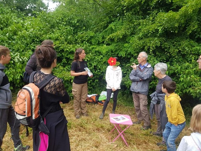 La Cěpée 3 800x600 