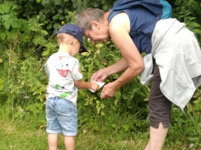 La Cěpée 4 800x600 