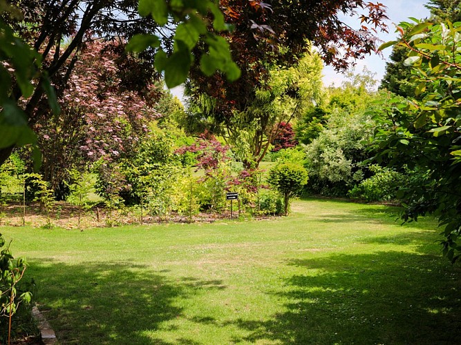 Jardin-du-Mesnil--SMT--M.Harel(5)