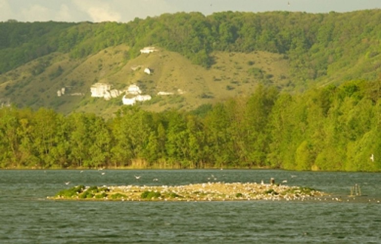 Vue Réserve Grande Noé@Virginie Radola, Grande Noé