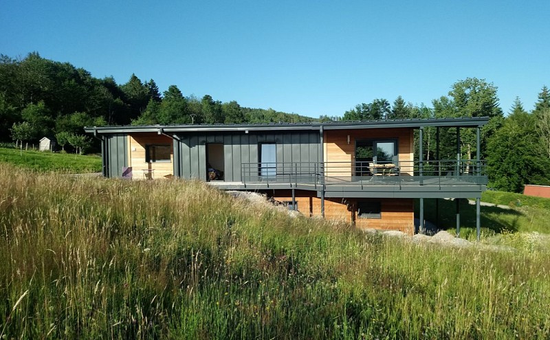 Apple and mirabelle plum apartment