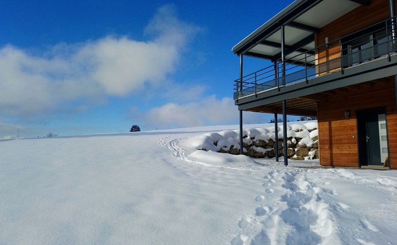 Apple and mirabelle plum apartment