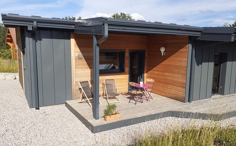 Appel en mirabelpruim plat