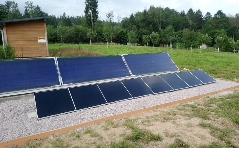 Appel en mirabelpruim plat