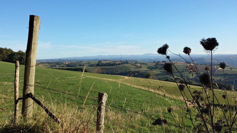 Mountain bike route - From Montsalvy to the Goul Valley