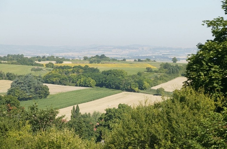 Circuit du petit patrimoine
