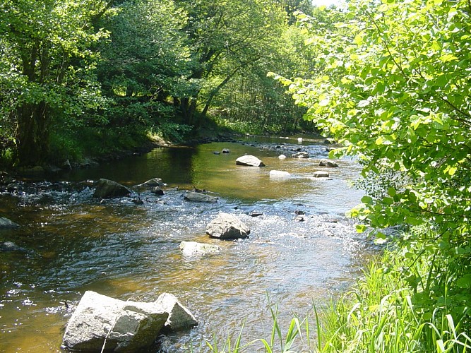 Stroller tour - Les Gorges du Chavanon