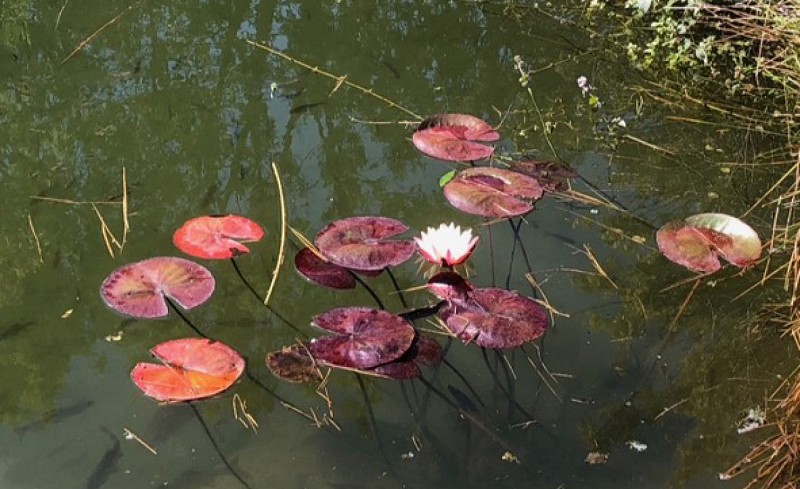 Gite la parenthese  a cormeilles@A. Migne (2)