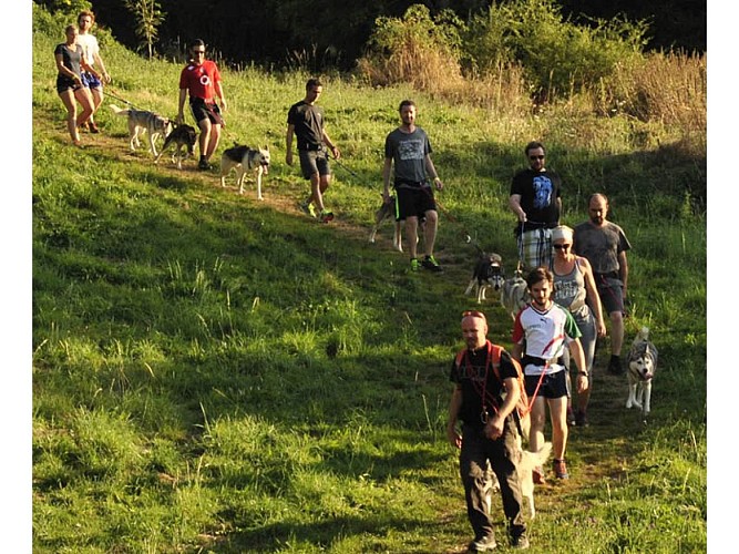 Cani Rando Récréative dans les Alpes Mancelles