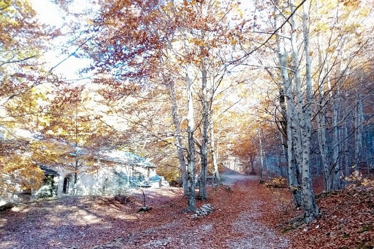 Notre-Dame de Lure et combe de Morteiron