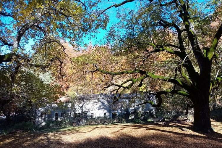 Notre Dame de Lure depuis le sentier
