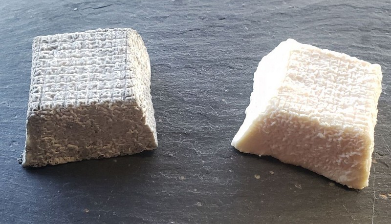 Sauvagnon - La Biquetterie Béarnaise @ La Biquetterie déc 2025 (6)