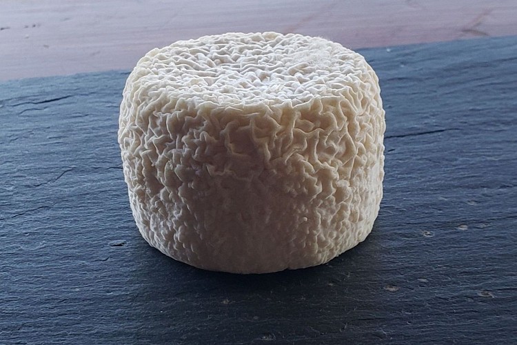 Sauvagnon - La Biquetterie Béarnaise @ La Biquetterie déc 2025 (3)