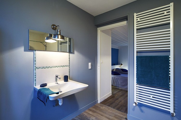 Le-grand-gite-de-saint-gervais-a-Asnieres--7-