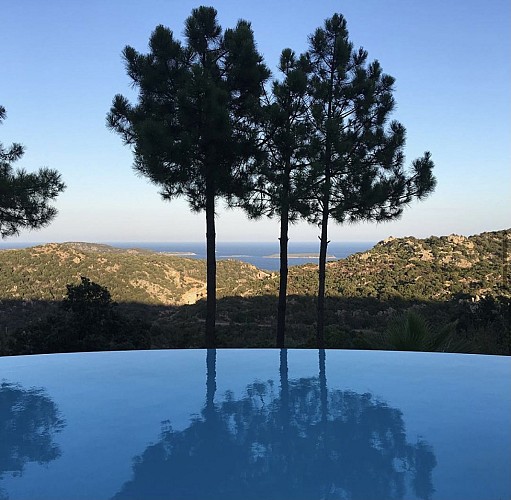 A67957FF-0066-4389-A609-8101EE8F0B9F