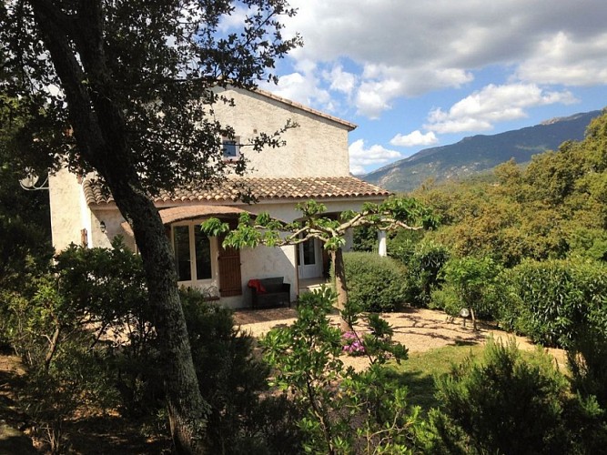 FORCONI ANGE-MARIE - SUARTELLO 1_1