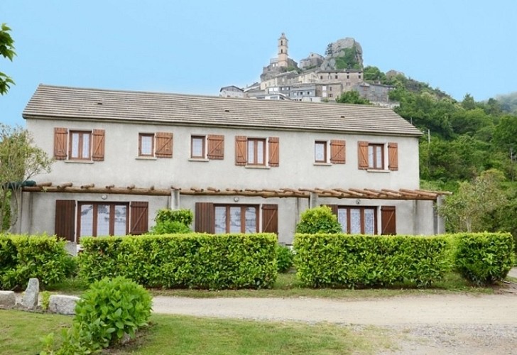 ANGELINI MARIE CLAIRE