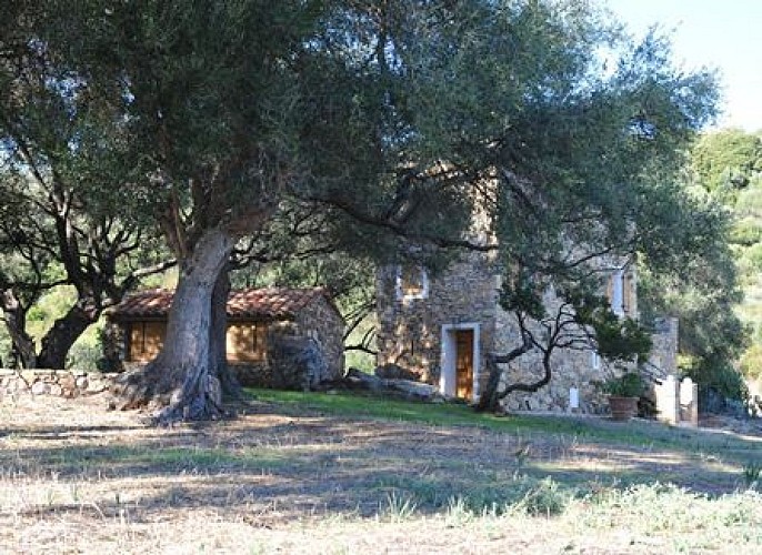 PHOTO COPIEE SUR OT - REDIMENSIONNEE PAR CHANTAL_6