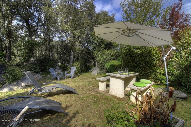 LES GÎTES DE LA VETTA 3