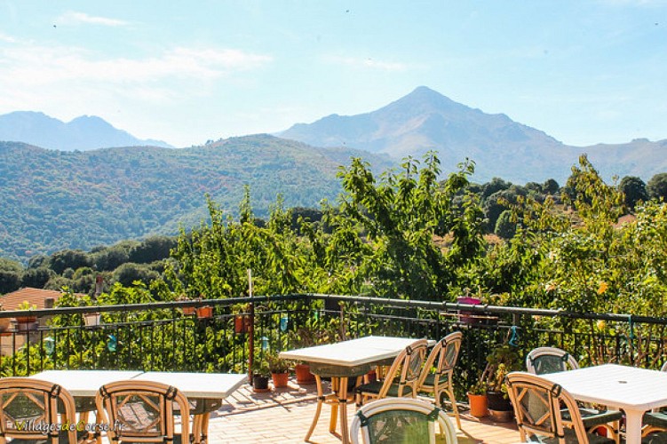 Chambre d'hôte U Tribbiu