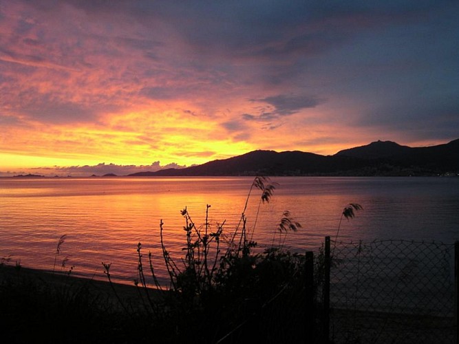 LES RESIDENCES DE SCAGLIONE - U LORIU