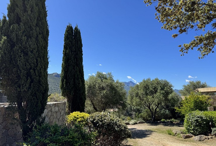 Les Bois de Capra Scorsa