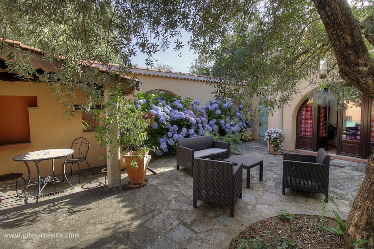 la terrasse partagée