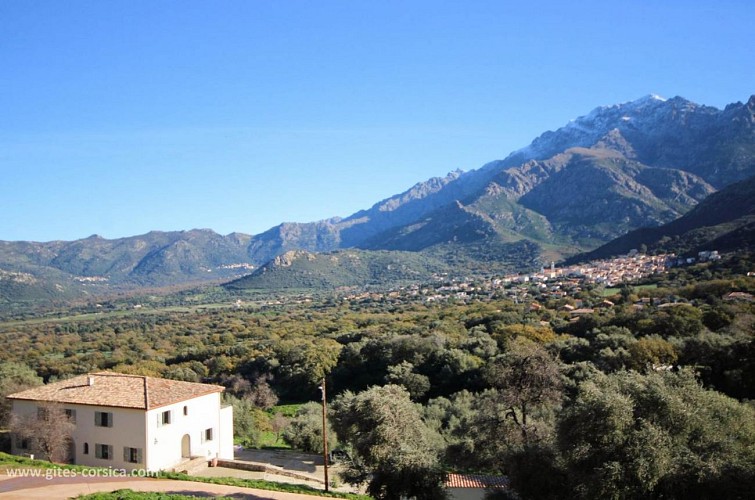 CASALE OLMIA - ALTICELI