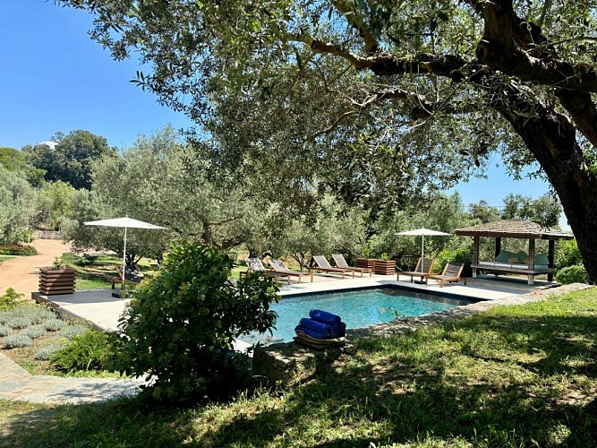 NOUVELLE-PISCINE.-PRINCIPALEjpeg