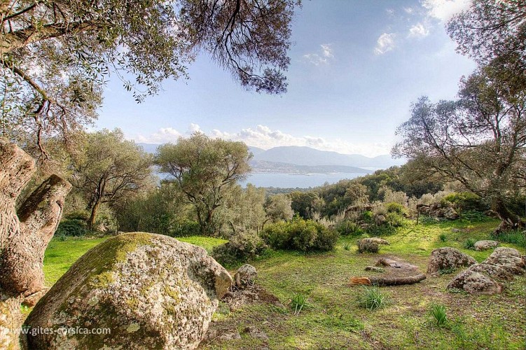 I CASEDDU D'ULMETU 4