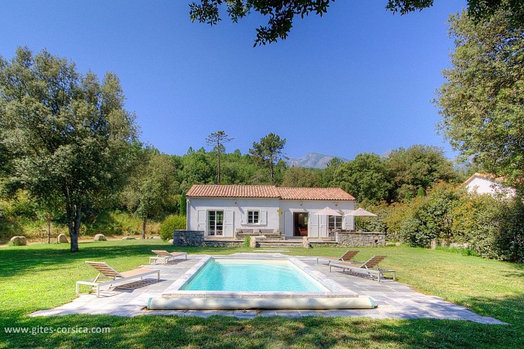 DOMAINE DE BRACCIOLE