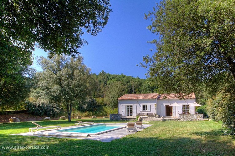 DOMAINE DE BRACCIOLE