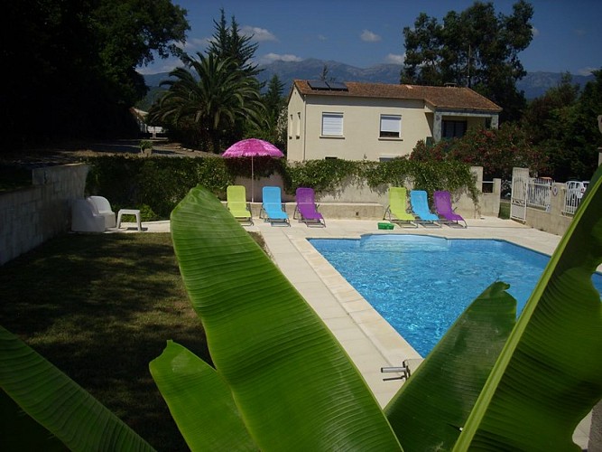 FIORE DI MYRTA - EUCALYTUS