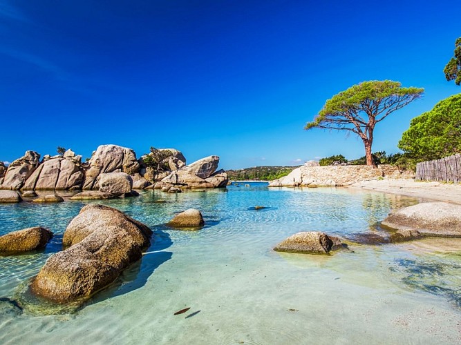 VILLA MILOBEACH PALOMBAGGIA_11_11