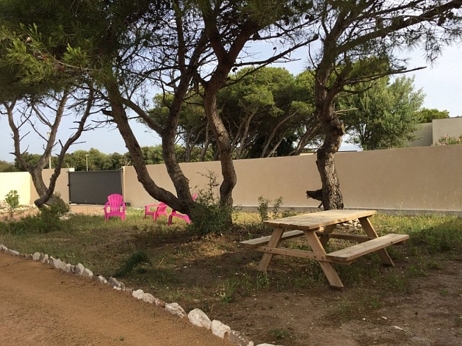 LES PINS DE BONIFACIO_4_4