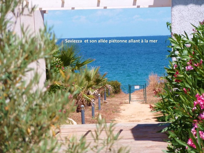 saviezza--2-