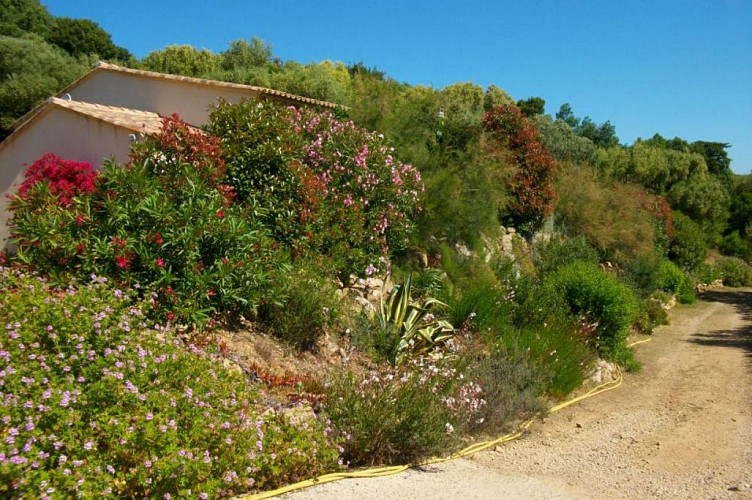 bonifacio-rondinara-location-villa-murticcio