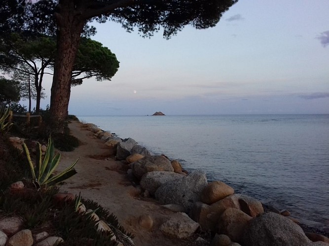 c Sentier le long de la plage 2