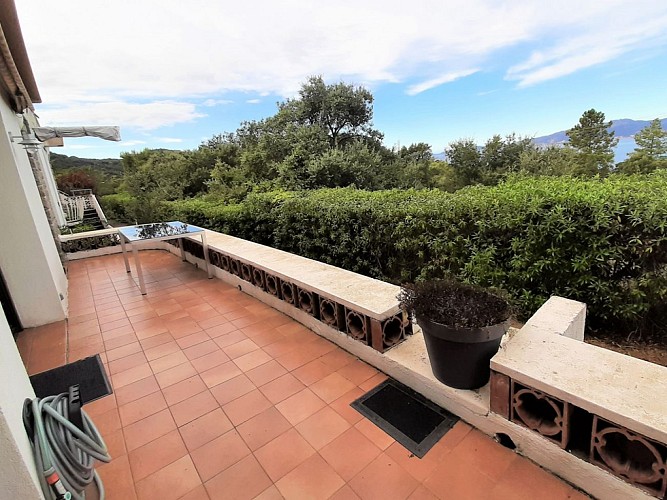 HLOvillacameliaCotichiavara6