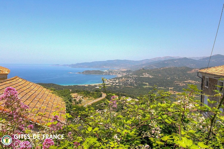 LOCATION DE VACANCES GÎTES DE FRANCE 17401