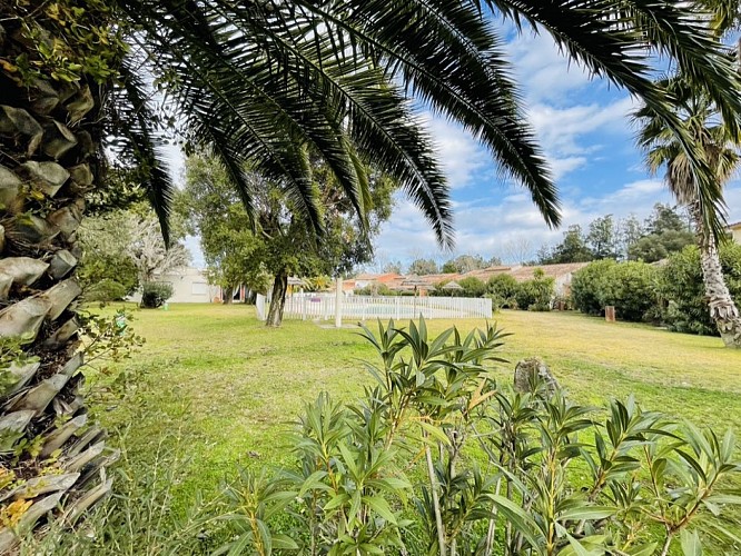 98039DD1-FD29-4E8E-A027-423F6CFF6ECA_1_105_c