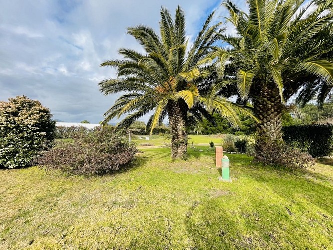 ECD114B9-6447-411E-82C4-293950508BB6_1_105_c